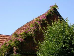 Scheunendach mit Veilchenblau